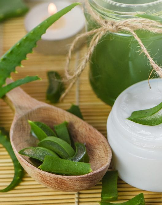 I prodotti all’Aloe Vera più efficaci