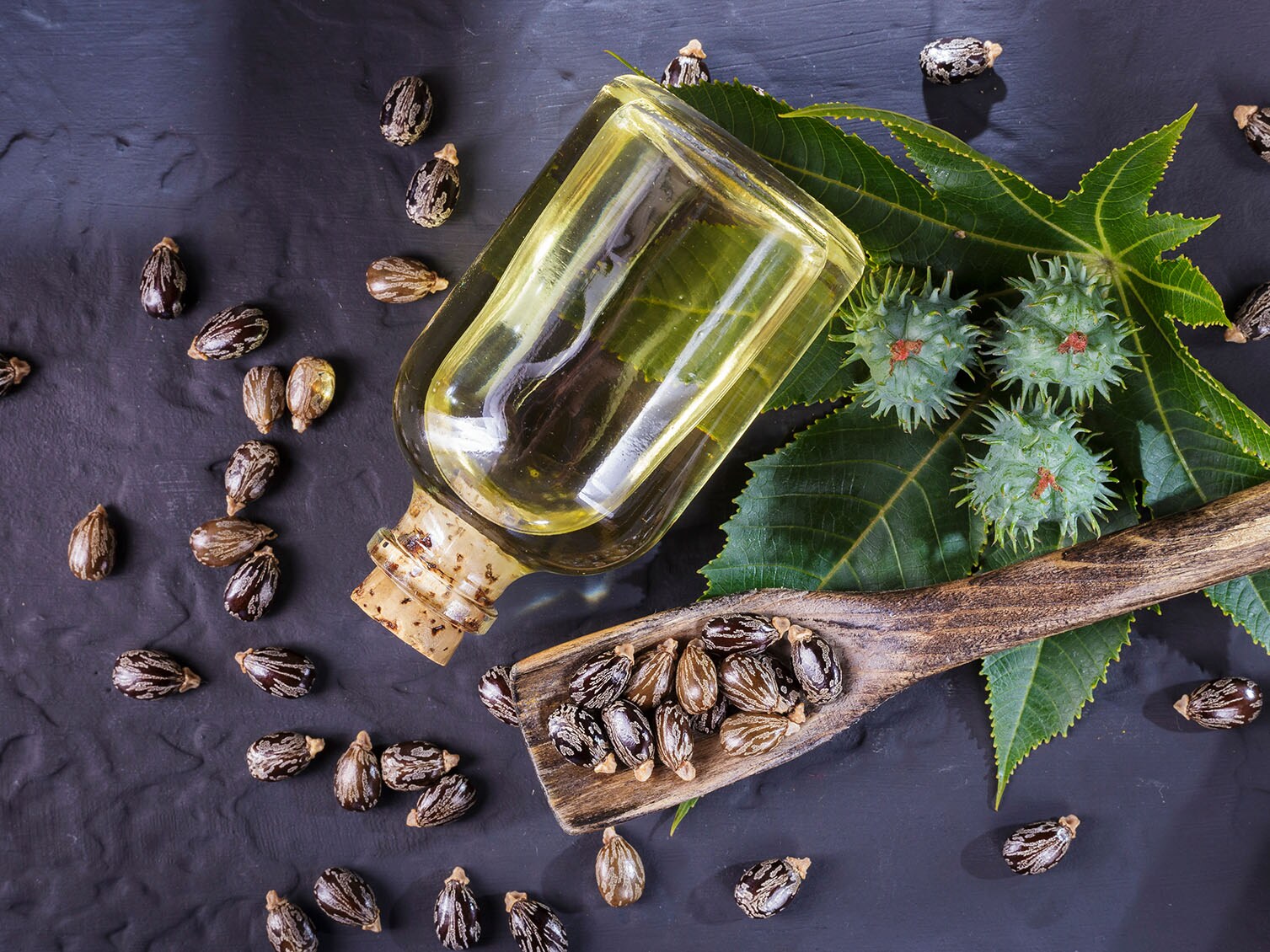 Olio di ricino: dalla natura un toccasana per la salute e la bellezza di capelli, unghie e pelle