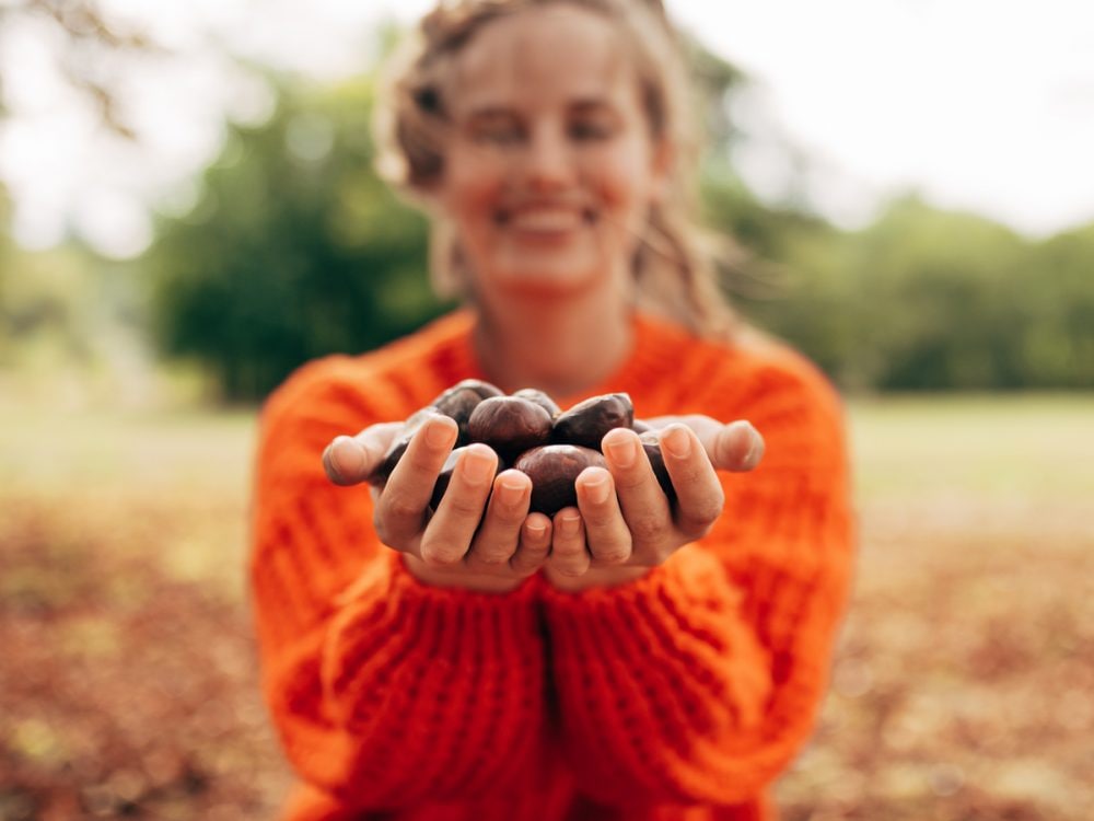 trattamenti di bellezza castagne