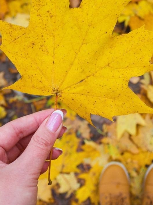 Unghie d’autunno: i colori e inspo più belle