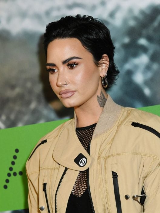 Chioma wet in pura tendenza, make up luminoso: che ispirazione, Demi Lovato